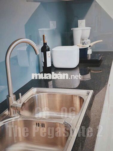CHO THUÊ CĂN HỘ DUPLEX THE PEGASUITE2 2PN 2WC FULL NỘI THẤT  15,5TR/TH