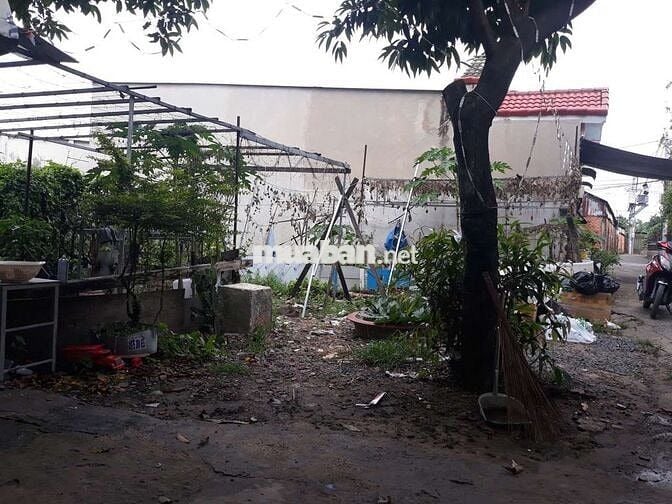 Đất Có Thổ Cư  : 12 x 16 👉 Xây Nhà Vườn, ViLa, Nhà Kho, Xưởng