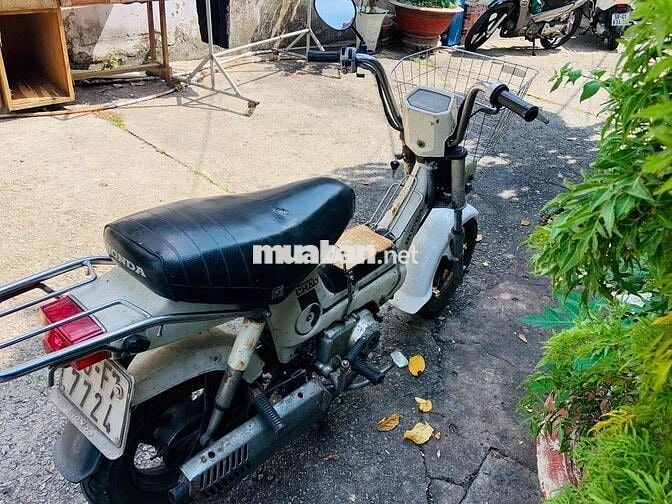 Honda Chaly Trắng