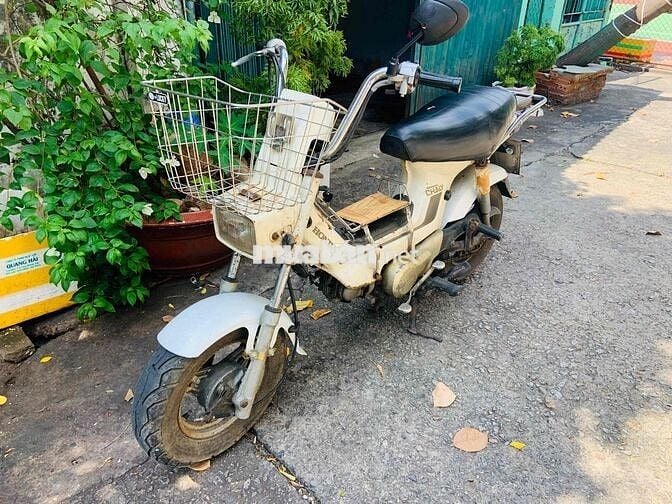 Honda Chaly Trắng