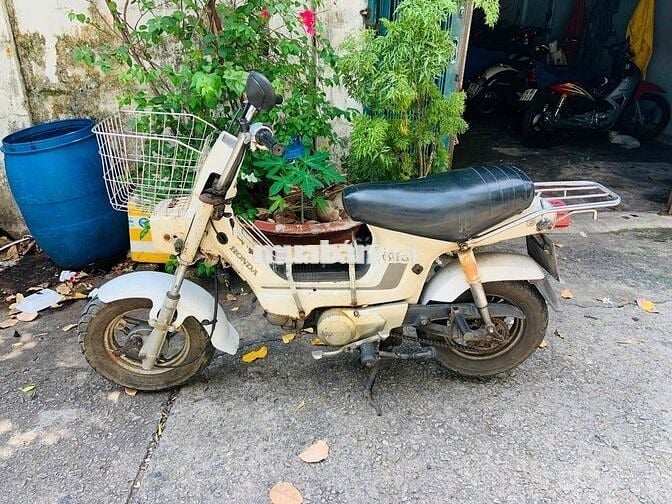 Honda Chaly Trắng