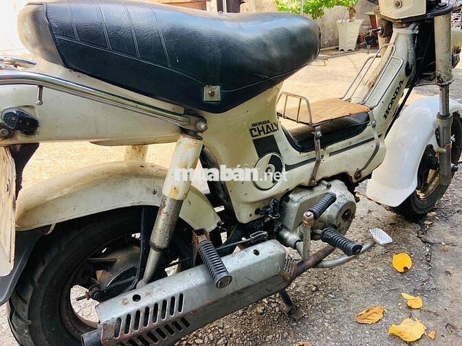 Honda Chaly Trắng