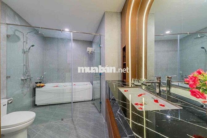 CĂN HỘ cao cấp view Sông Hàn - đường Bạch Đằng
