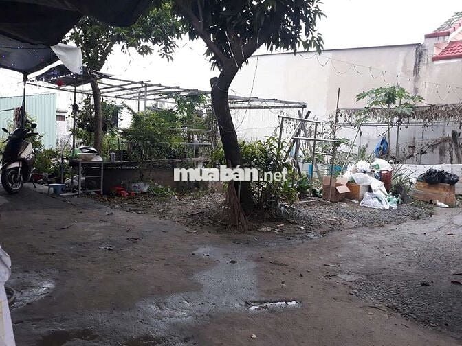 Đất Có Thổ Cư  : 12 x 16 👉 Xây Nhà Vườn, ViLa, Nhà Kho, Xưởng
