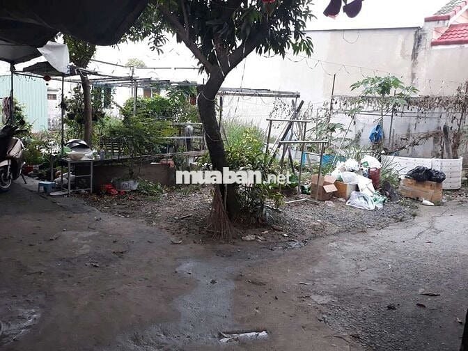 Đất Có Thổ Cư  : 12 x 16 👉 Xây Nhà Vườn, ViLa, Nhà Kho, Xưởng