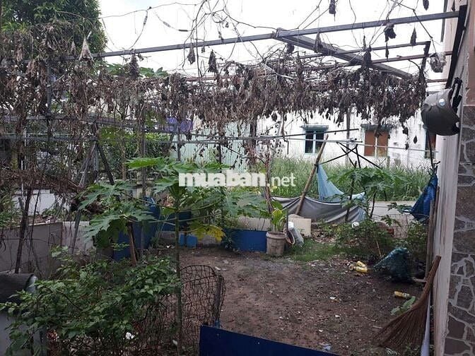 Đất Có Thổ Cư  : 12 x 16 👉 Xây Nhà Vườn, ViLa, Nhà Kho, Xưởng