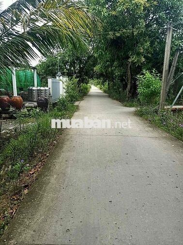 bán Đất nền nghỉ dưỡng hơn 500m2 lộ xe hơi tới đất