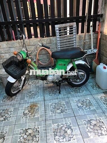 Honda Chaly 78/50 Xanh