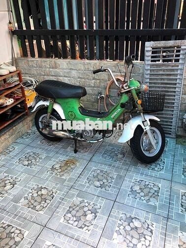 Honda Chaly 78/50 Xanh