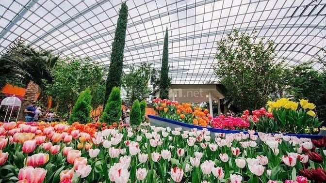CĂN SẺ KHE HIẾM VINHOMES SAIGON PARK – VỐN TỪ 2,244 TỶ