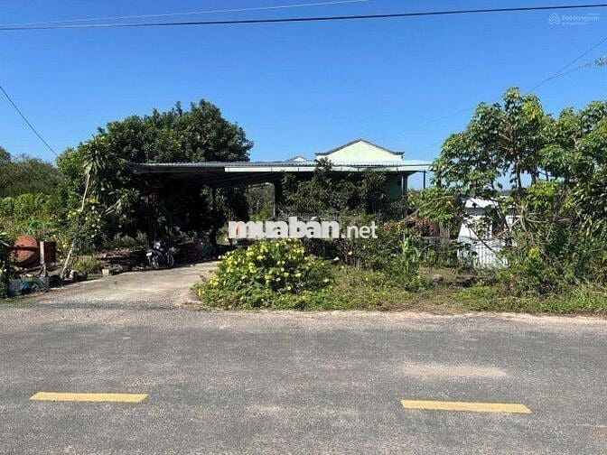 BÁN GẤP LÔ ĐẤT Ở GÒ VẤP 100M2 - 1TY390