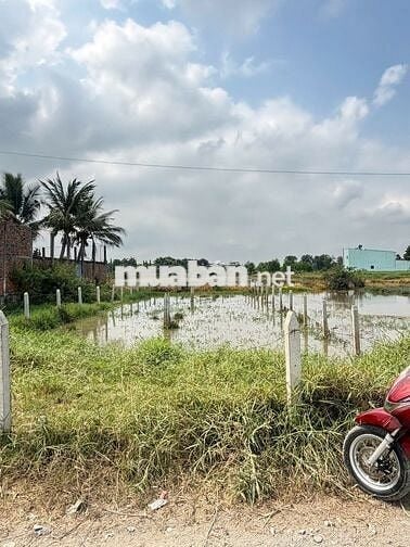 Đất nền khu dân cư thị trấn Đức Hòa