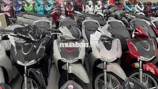 Thanh Lý Toàn Bộ Xe Tồn Kho