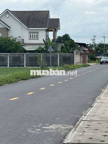 Mặt Tiền Cây Da. 175m2 có thổ, sổ sẵn. Sát bên Vinhome Hóc Môn 5phút