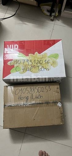 Đóng gói giao hàng ( tư vấn và báo giá sản phẩm)