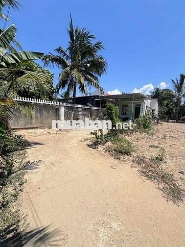 Bán 366,5m2 Đất Vĩnh Thạnh - Phường Tây Nha Trang. Giá: 10tr/m2
