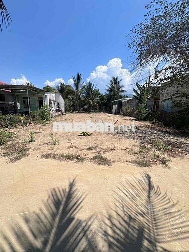 Bán 366,5m2 Đất Vĩnh Thạnh - Phường Tây Nha Trang. Giá: 10tr/m2
