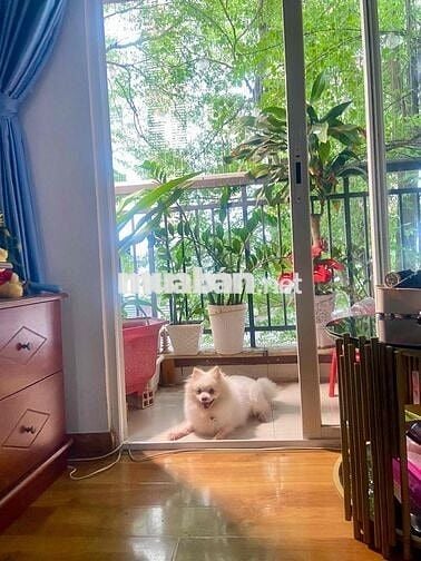 EHOM3 CĂN HỘ 2PN 64M2 + 2 WC  CÓ BANCON