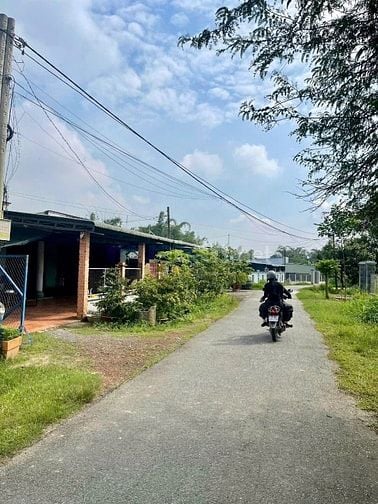 Gốc 2mt nhựa tại củ chi giá 980triệu