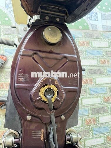 Honda Dream II Thái Lan Nâu Trắng