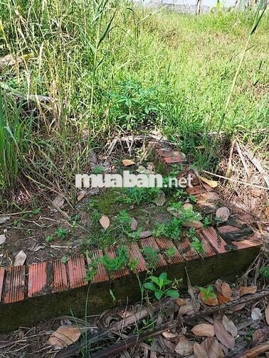 [BÁN] ĐẤT FULL THỔ CƯ TP MỸ THO 62M2 500TR TL