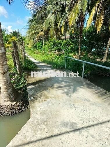 [BÁN] ĐẤT FULL THỔ CƯ TP MỸ THO 62M2 500TR TL