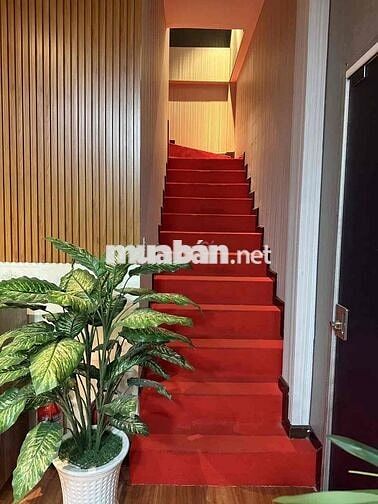 *** KTV Massage Foot Body Trị Liệu