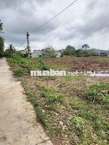 đất thổ cư giá rẽ ngây khu công nghiệp, sổ hồng sẵn 