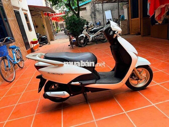 Honda Lead Trắng