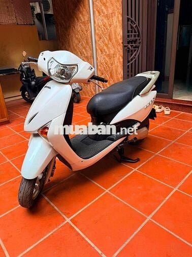 Honda Lead Trắng