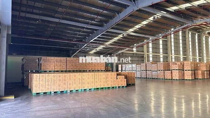 CHO THUÊ KHO XƯỞNG KHU CÔNG NGHIÊP LONG HẬU ,HUYỆN CẦN GIUỘC 