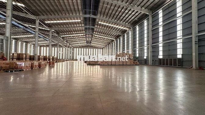CHO THUÊ KHO XƯỞNG KHU CÔNG NGHIÊP LONG HẬU ,HUYỆN CẦN GIUỘC 