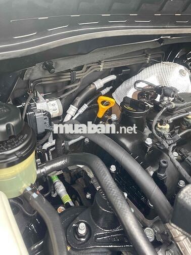 KIA Sedona 2018 Full Dầu Xanh đen