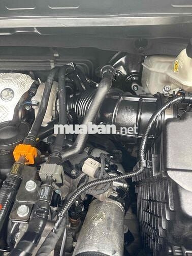 KIA Sedona 2018 Full Dầu Xanh đen