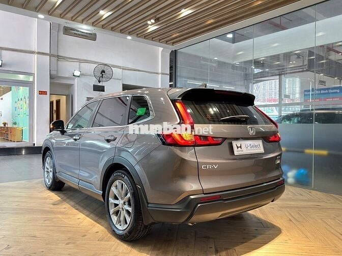 Honda CR-V L . Mua ngày 4/12/25. Odo 8000.Mới Cứng