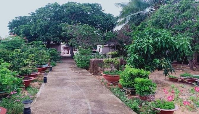 XUẤT CẢNH NƯỚC NGOÀI NÊN BÁN ĐẤT - SẴN KHÁCH SẠN TẠI TP.PHAN THIẾT