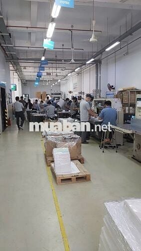 NHÂN VIÊN TẠP VỤ (Xưởng sản xuất và văn phòng)