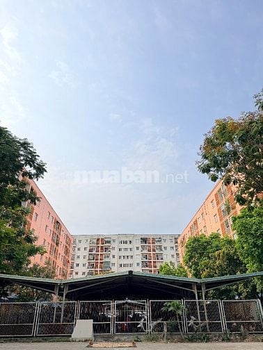 Giảm 2 Tỷ Bán Lô Đất Đinh Liệt Ngay Bến Xe Trung Tâm,Tặng Xưởng 1,2 Tỷ