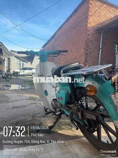 Honda Cub 50 Xanh ngọc, trắng