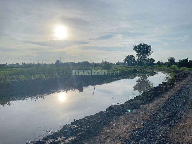 Bán 2 lô đất liền kề 540m/1lô giaá 2,6 tỷ ngay trung tâm xã Đông Thạnh