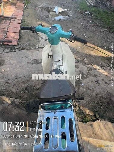 Honda Cub 50 Xanh ngọc, trắng