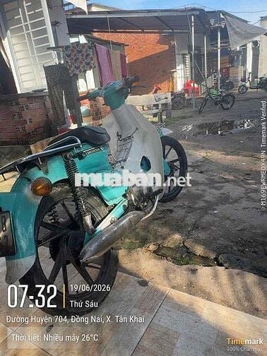 Honda Cub 50 Xanh ngọc, trắng