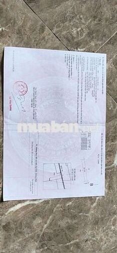 bán đất đường nhựa đặng xuân bảng trảng cát sát đmx,dt:7x60 giá 1.85ty