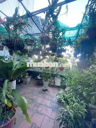 CHO THUÊ NHÀ NGUYÊN CĂN ĐƯỜNG AN THƯỢNG 9. THUÊ TẦMG 1 THÌ GIÁ 18TRIỆU