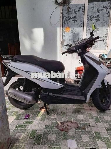 Honda Dylan Trắng
