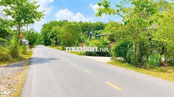 🔥 GIẢM 200TR CHỈ 3TY TL CẦN BÁN 1.132m² MT ĐỖ ĐĂNG TUYỂN - CỦ CHI 🔥