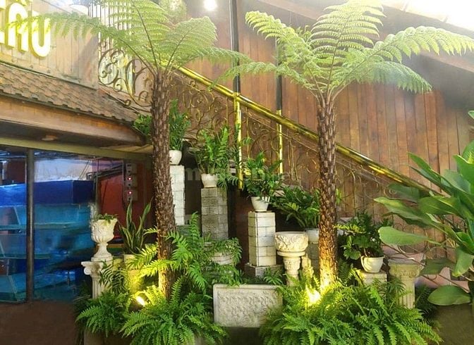 Chính chủ sang gấp nhà hàng hầm rượu & 2 căn nhà MT Nguyễn Văn Khối