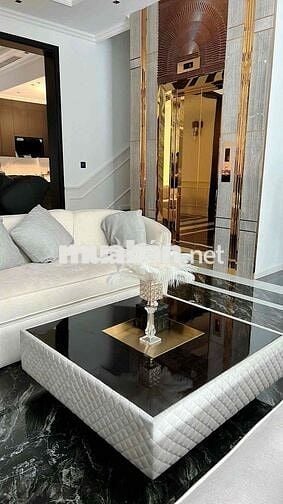 CHO THUÊ BIỆT THỰ VIP 8 PHÒNG NGỦ - THANG MÁY- FULL NỘI THẤT