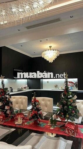 CHO THUÊ BIỆT THỰ VIP 8 PHÒNG NGỦ - THANG MÁY- FULL NỘI THẤT