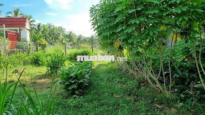 ĐẤT xây biệt thự gần chợ cầu Xây